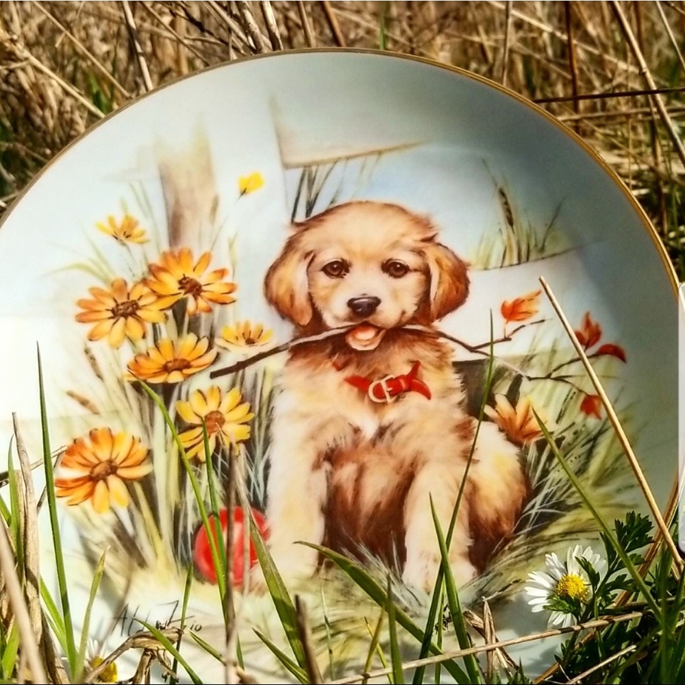 “First Fetch” Decor Plate by Aldo Fazio🐶